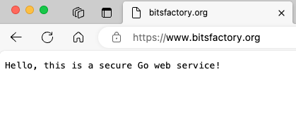 Web service screenshot